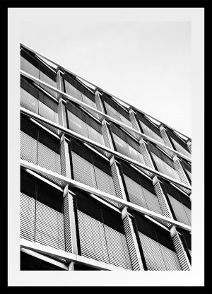 Geometría habitada
