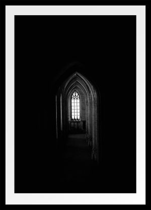 Luz en la penumbra